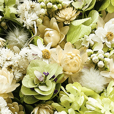 髪と頭皮のための美容ケア処方